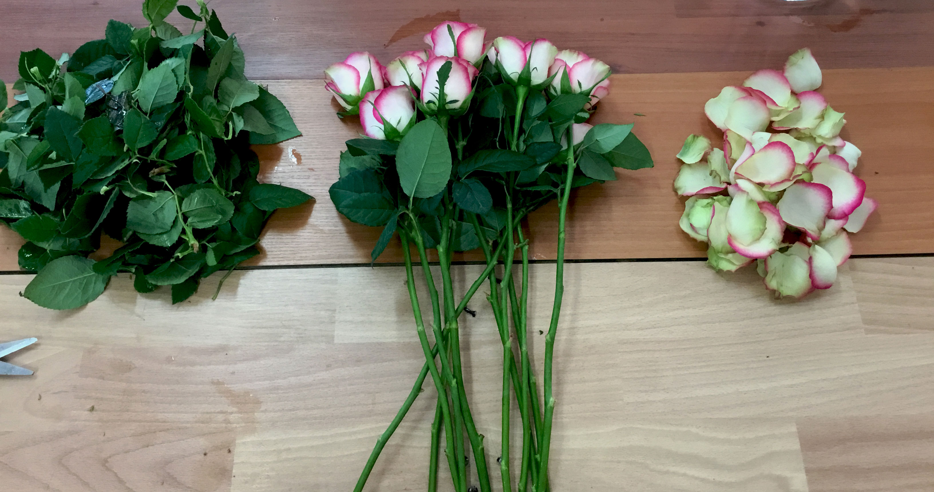 Tuto : Comment conserver mes roses ?