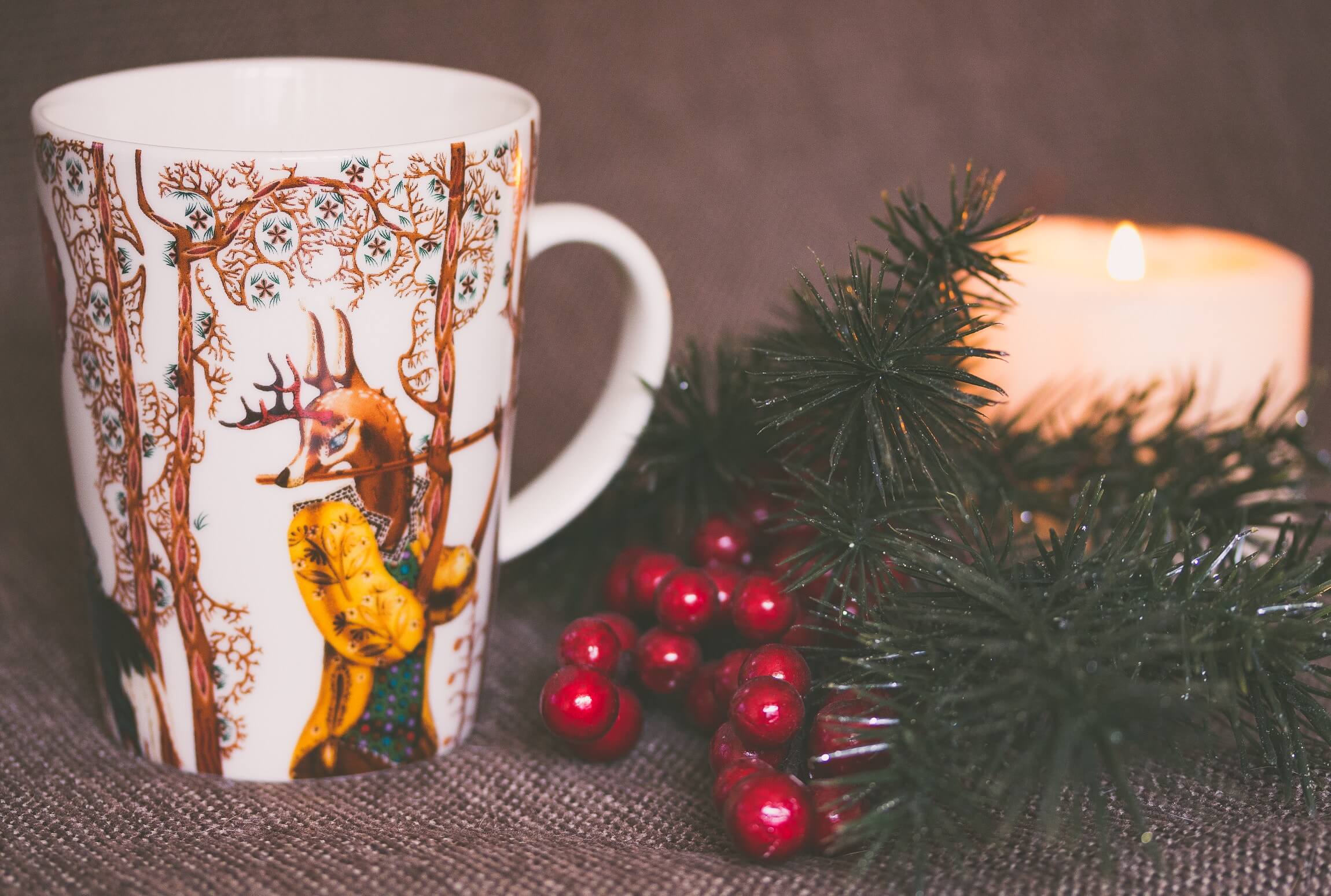 Symboles de Noël : D’où nous vient la tradition du houx et du gui?
