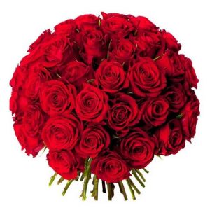 Bouquet de roses rouges - France Fleurs